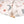 Stillkissenbezug mit Knopf, Organic Wild Friends
